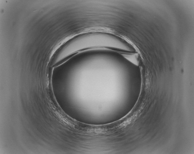 X0000081560973200702051145