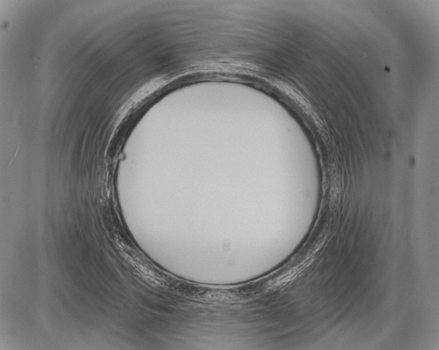 X0000081560974200702051145