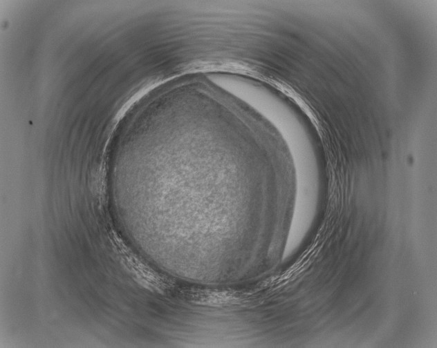 X0000081560975200702051145