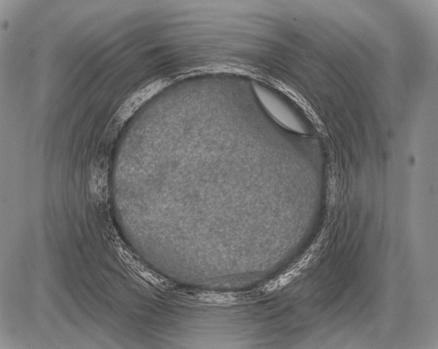 X0000081560977200702051145