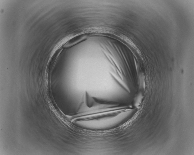 X0000081560981200702051145