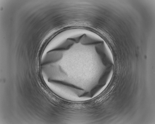 X0000081560982200702051145