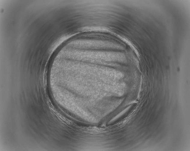 X0000081560983200702051145