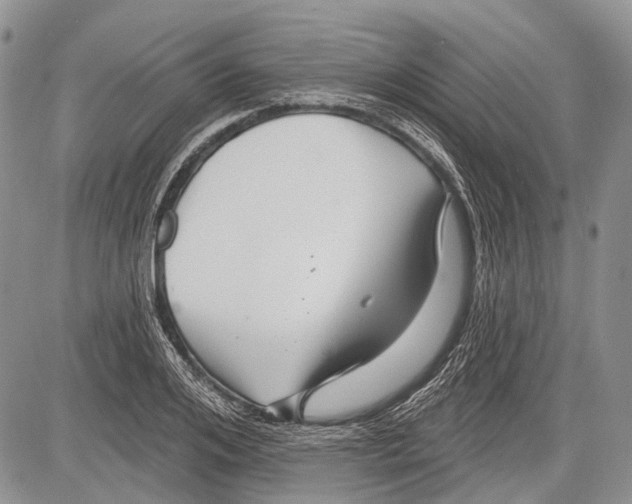 X0000081560984200702051145