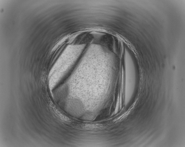 X0000081560985200702051145