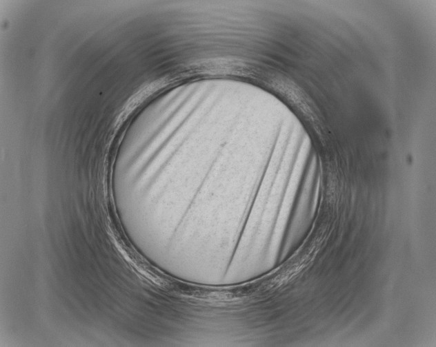 X0000081560986200702051145