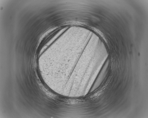 X0000081560987200702051145