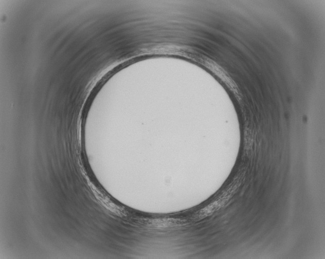 X0000081560988200702051145