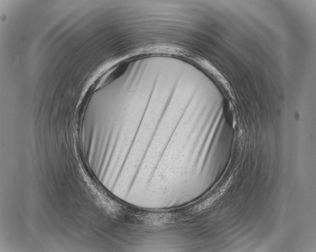 X0000081560989200702051145