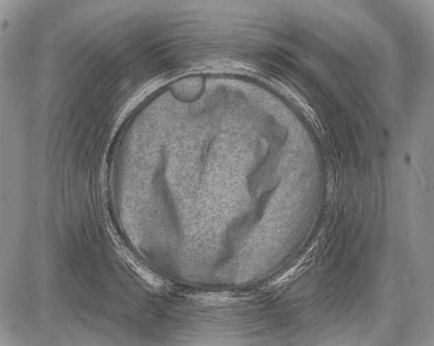 X0000081560990200702051145