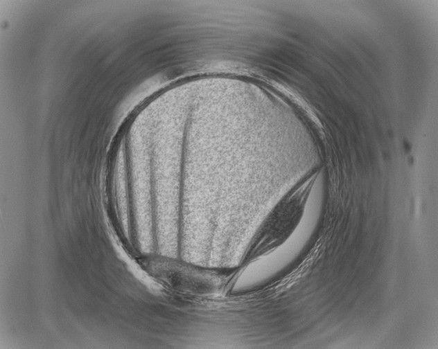 X0000081560991200702051145