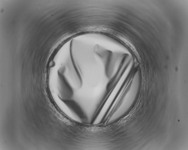 X0000081560992200702051145