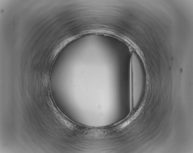 X0000081560993200702051145