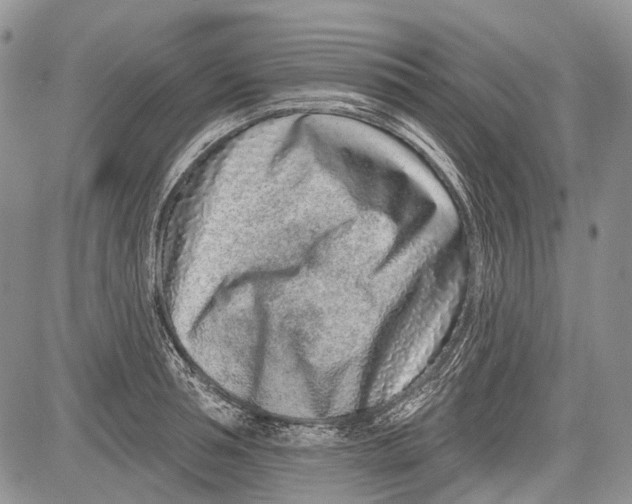 X0000081560994200702051145