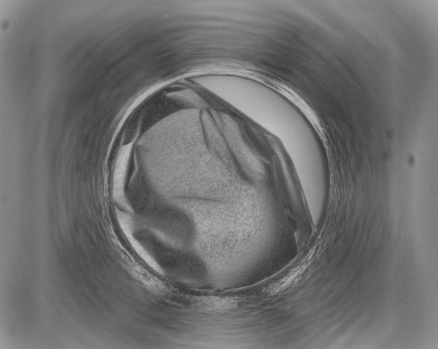 X0000081560996200702051145