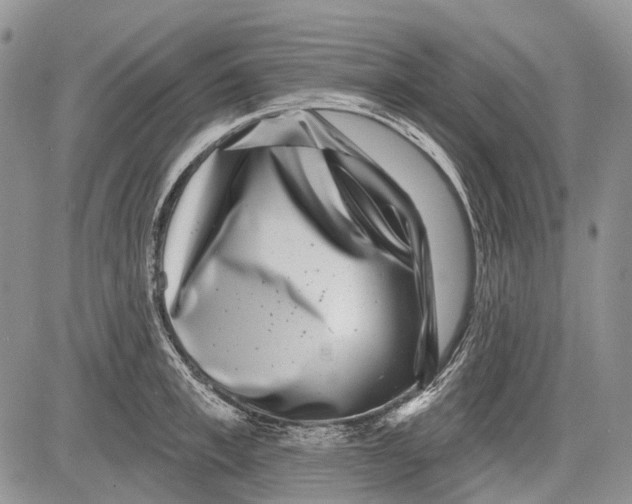 X0000081560997200702051144