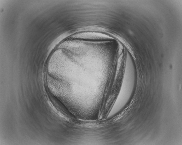 X0000081560998200702051144