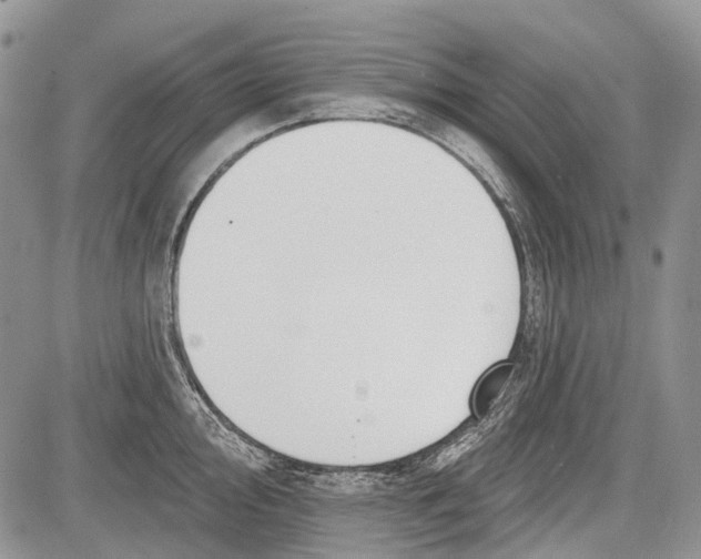 X0000081561000200702051144