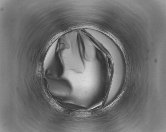 X0000081561001200702051144