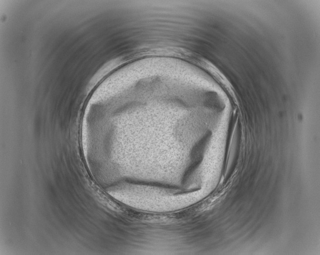 X0000081561002200702051144