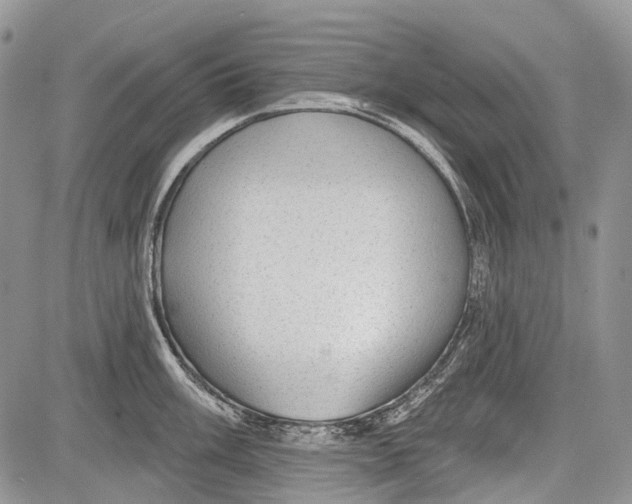 X0000081561003200702051144