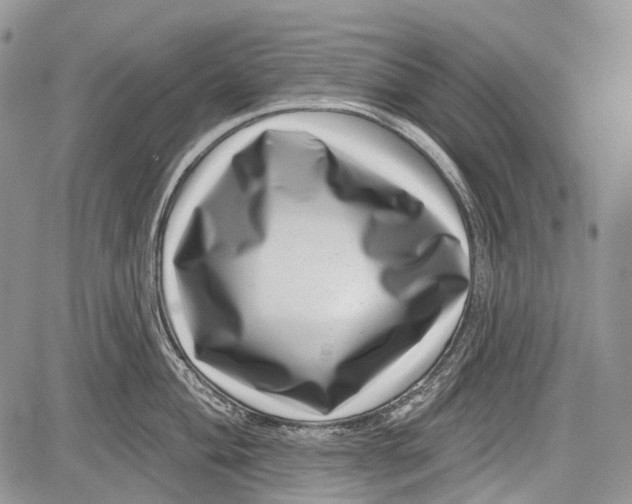 X0000081561004200702051144