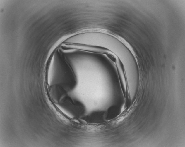 X0000081561005200702051144