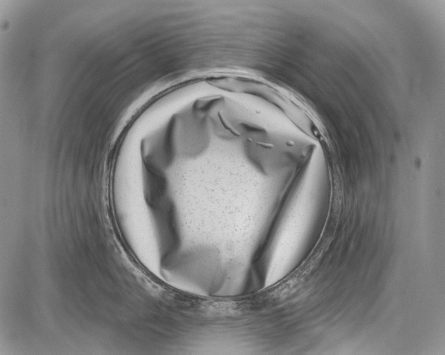 X0000081561006200702051144