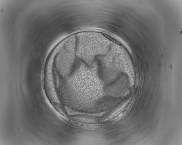 X0000081561007200702051144