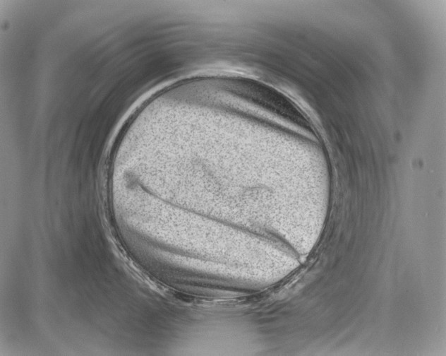 X0000081561008200702051144