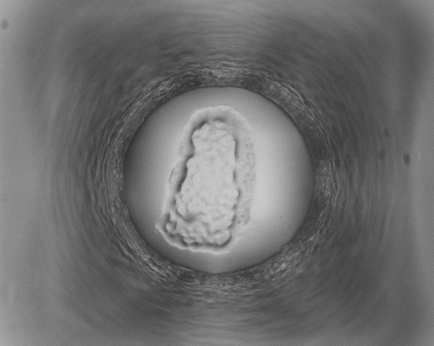 X0000081561009200702051144