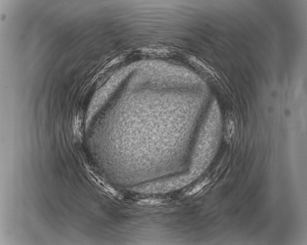 X0000081561010200702051144