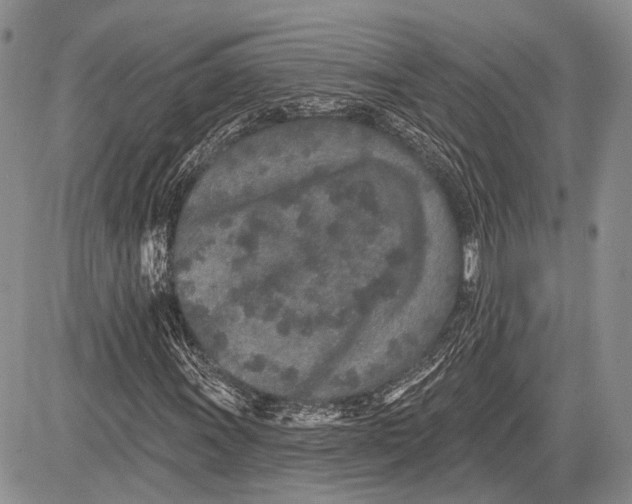 X0000081561011200702051144