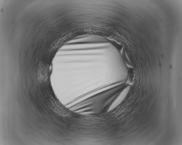 X0000081561012200702051144