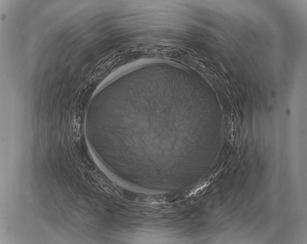 X0000081561013200702051144