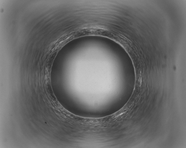 X0000081561014200702051144