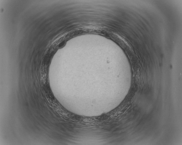 X0000081561015200702051144