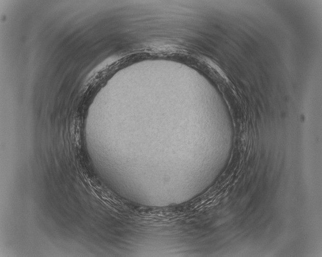 X0000081561016200702051144