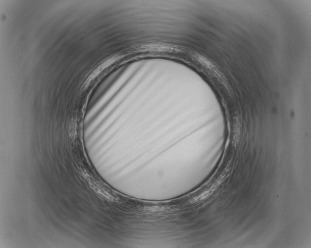 X0000081561017200702051144