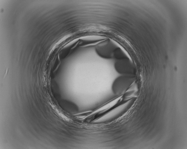 X0000081561018200702051144