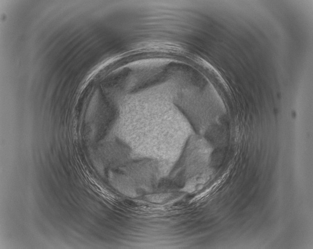 X0000081561019200702051144