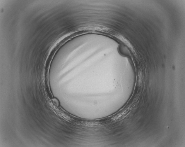 X0000081561020200702051144