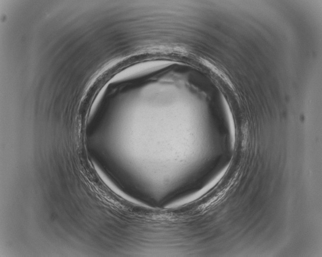 X0000081561021200702051144