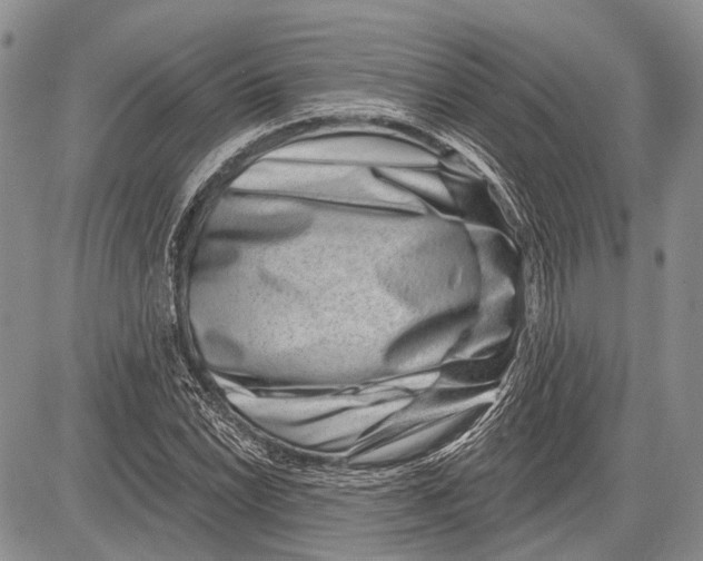 X0000081561022200702051144