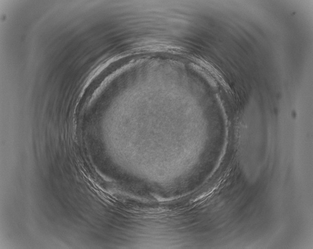 X0000081561023200702051144