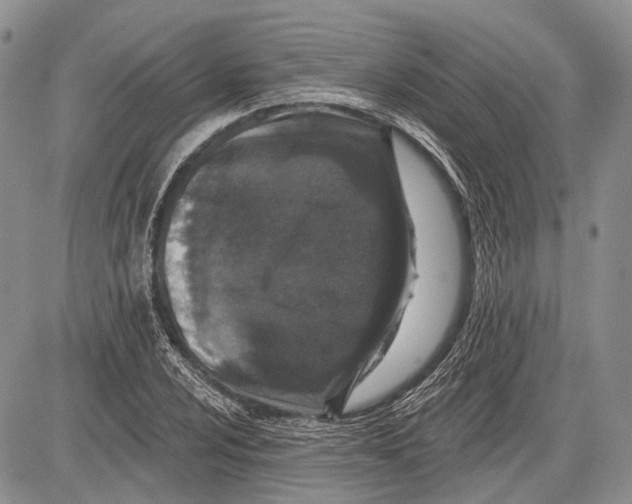 X0000081561024200702051144