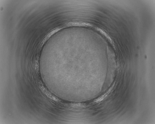 X0000081561025200702051144