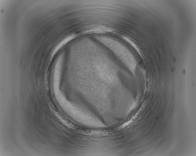 X0000081561026200702051144