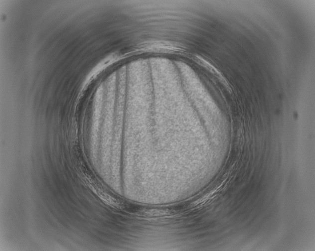 X0000081561027200702051144