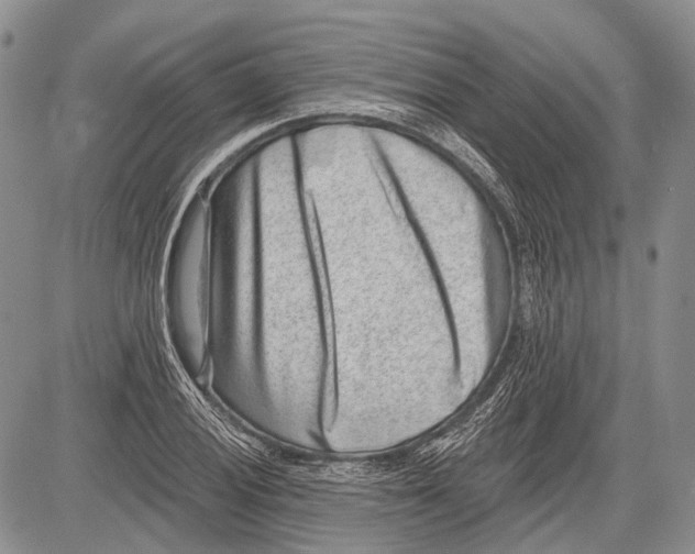 X0000081561028200702051144